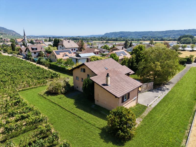 Villa familiale entièrement rénovée au bord des vignes (18)