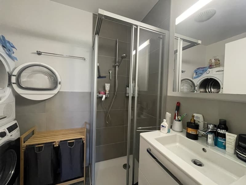 Salle_de_bain-douche.jpeg