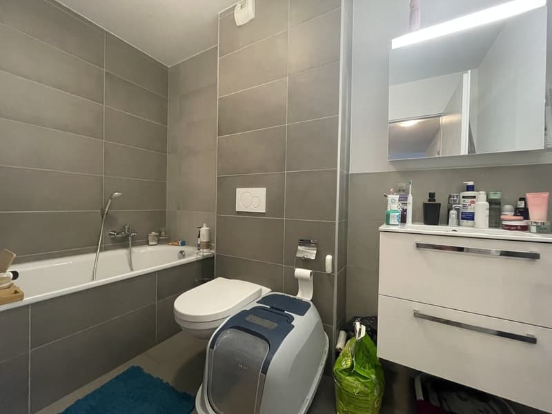 Salle_de_bain_baignoire.jpeg