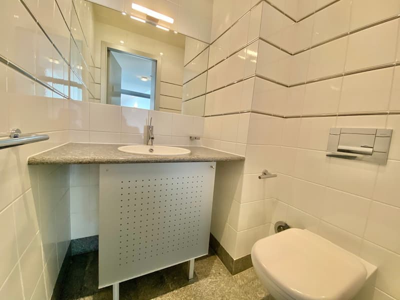 Spacieux appartement de 5 pièces à Genève – Disponible immédiatement (11)