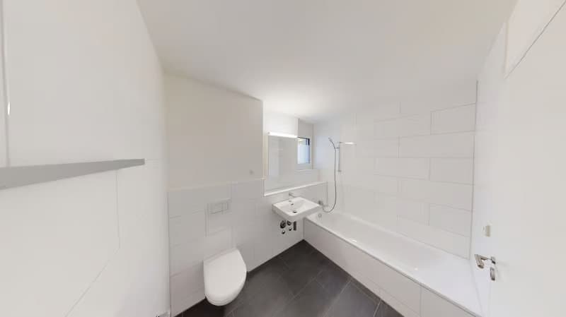 Stilvolle 2.5- Zimmerwohnung in Dietikon (6)