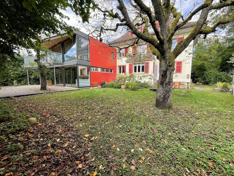 Moderne 1.5-Zimmer-Wohnung mit Balkon in Aarau – sofort verfügbar! (9)