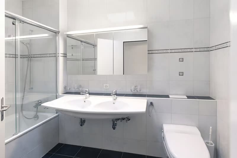 Zentral gelegene 4 1/2 Zimmerwohnung 3.OG im beliebten Hertiquartier (7)
