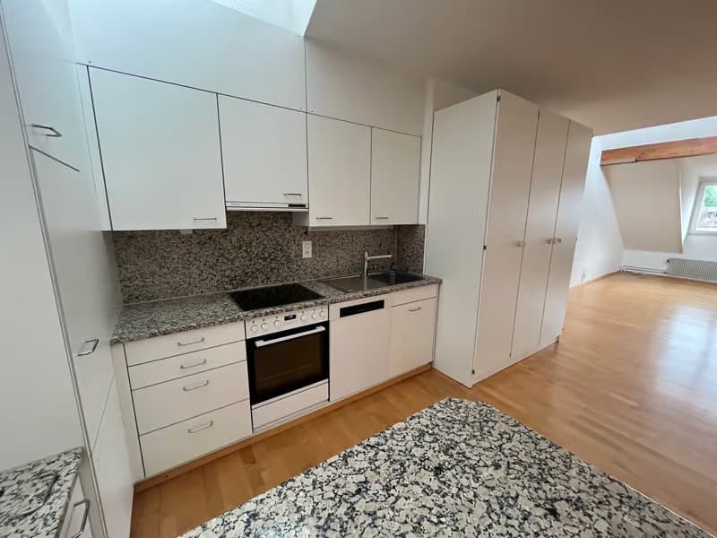 Charmante 1.5-Zimmer-Wohnung mit Dachterrasse im Herzen von Zürich (4)
