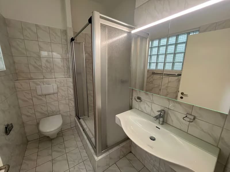 Charmante 1.5-Zimmer-Wohnung mit Dachterrasse im Herzen von Zürich (3)