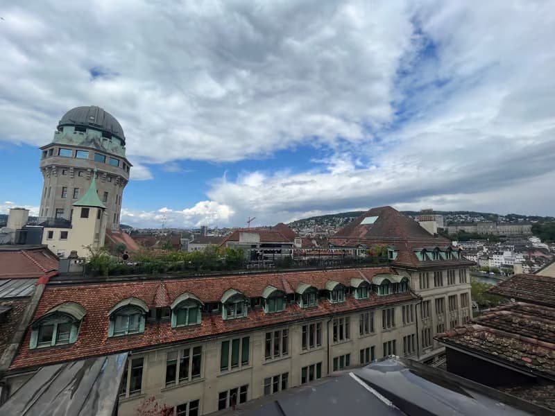 Charmante 1.5-Zimmer-Wohnung mit Dachterrasse im Herzen von Zürich (6)