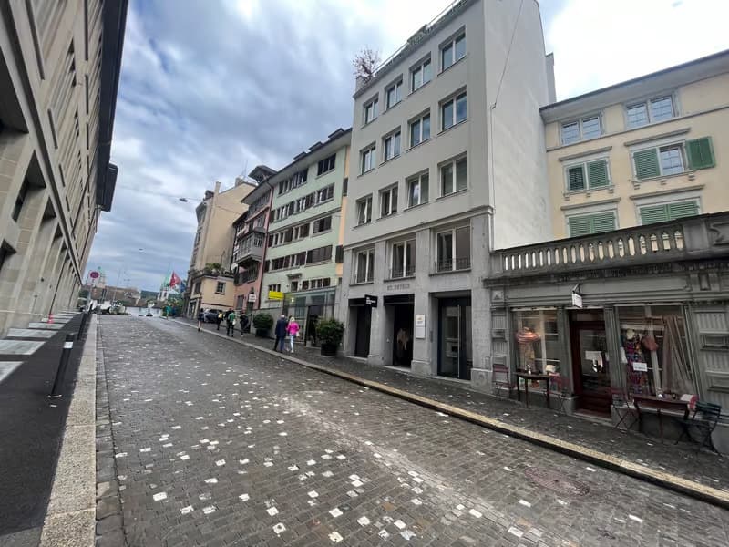 Charmante 1.5-Zimmer-Wohnung mit Dachterrasse im Herzen von Zürich (8)