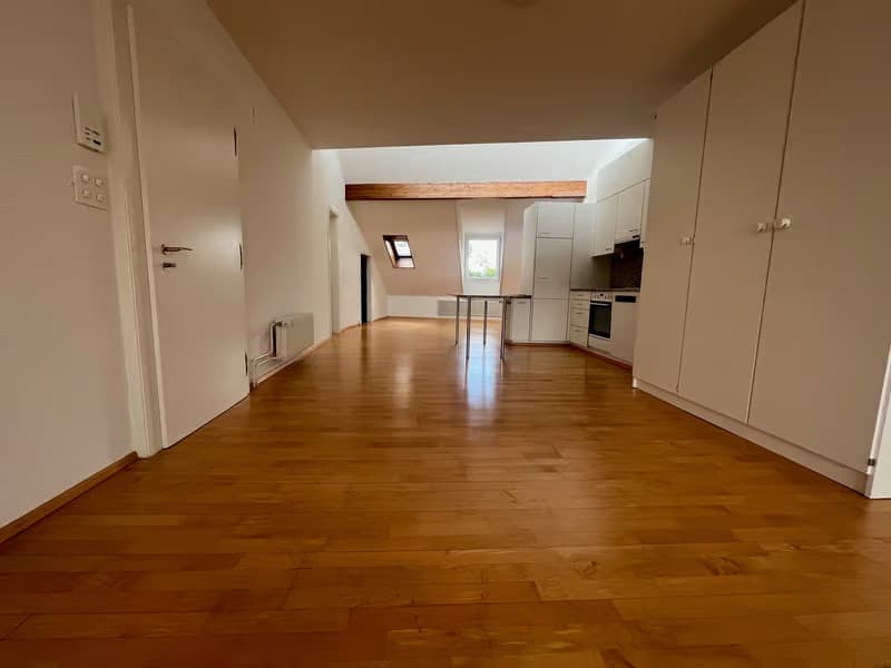 Charmante 1.5-Zimmer-Wohnung mit Dachterrasse im Herzen von Zürich (2)