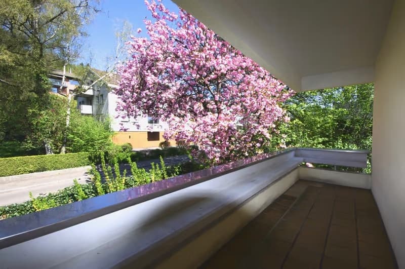 3.5-Zimmerwohnung mit toller Aussicht und Sauna (3)