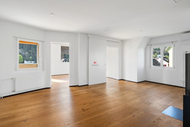 Helle 3-Zimmer-Wohnung mit Balkon und traumhafter Aussicht in Luzern (11)