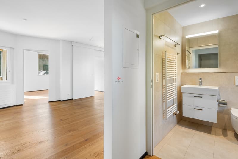 Helle 3-Zimmer-Wohnung mit Balkon und traumhafter Aussicht in Luzern (5)