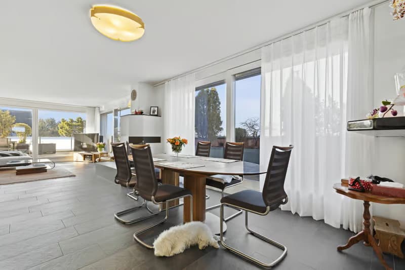 exklusive 5.5-Zimmer-Attikawohnung (5)