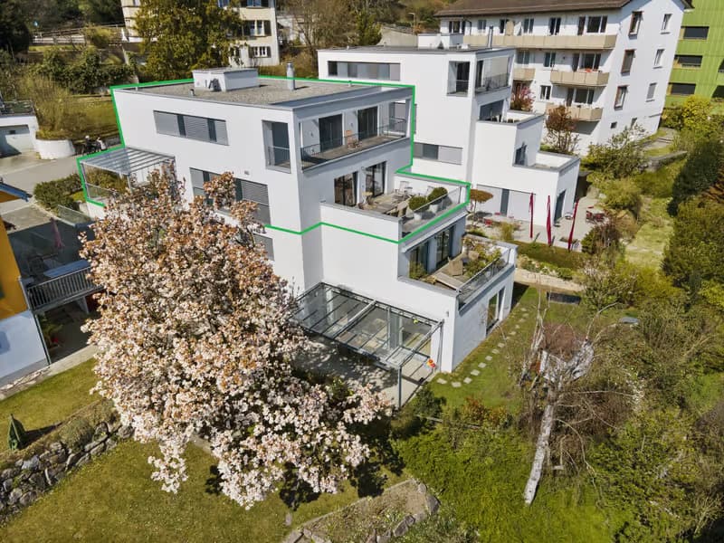 Traumhafte Terrassenwohnung über den Dächern von Winterthur (1)