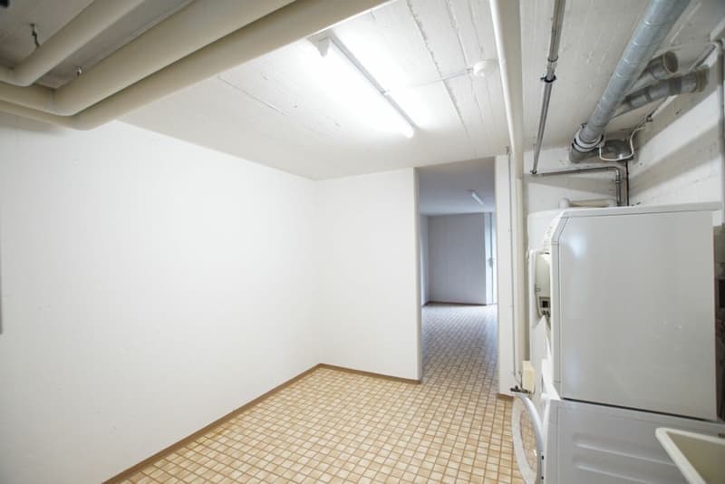 Geräumige 4.5-Zimmer-Wohnung mit Balkon und herrlicher Aussicht in Brugg (10)