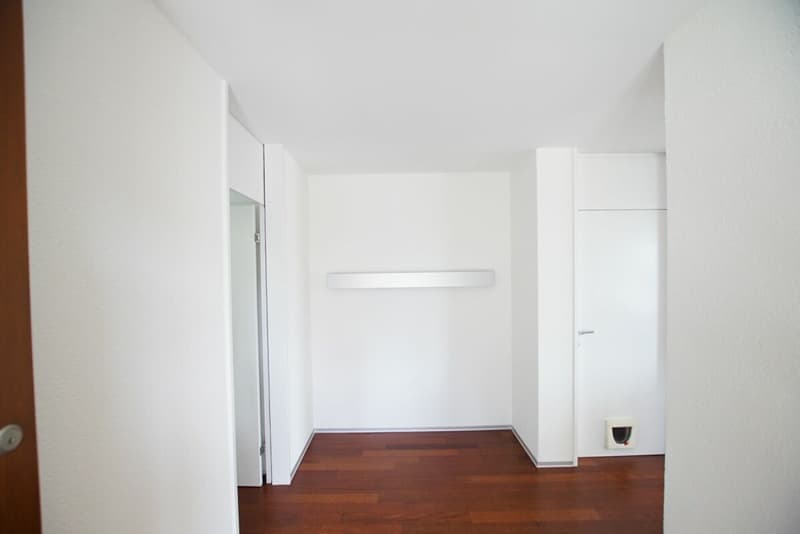 Geräumige 4.5-Zimmer-Wohnung mit Balkon und herrlicher Aussicht in Brugg (15)