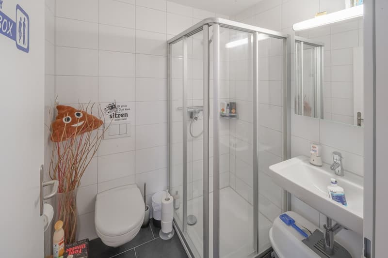 Hübsche 3.5 Zimmer-Wohnung in Zürich-Höngg (8)