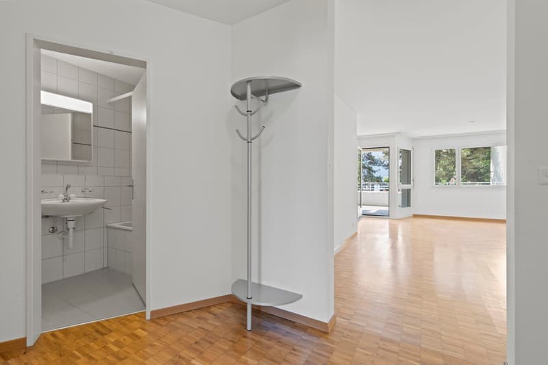 Helle 2.5-Zimmer-Wohnung mit Balkon in Hinwil – ab sofort verfügbar! (4)