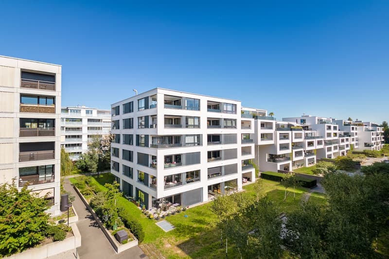 Helle 2.5-Zimmer-Wohnung mit Balkon in Opfikon – sofort verfügbar! (1)