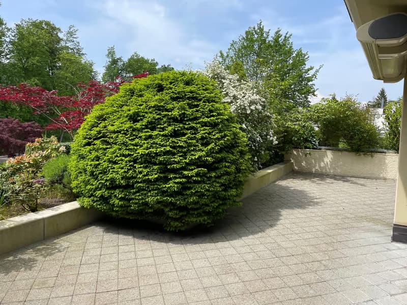 Helle 4.5-Zimmer-Wohnung mit Balkon und Garage in Thalwil – sofort verfügbar (4)