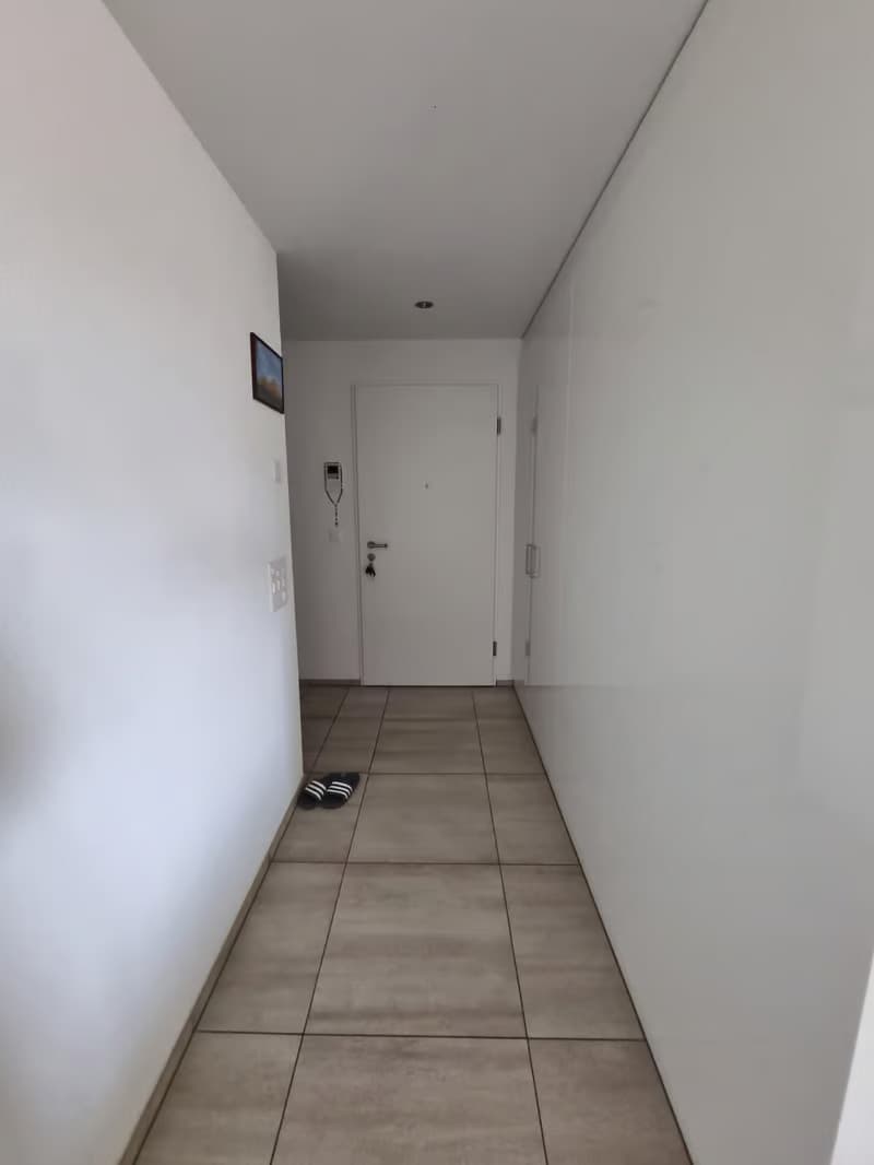 Helle 4.5-Zimmer-Wohnung mit Balkon und Garage in Schwyz (2)