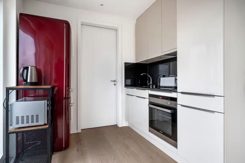 Gemütliche 1.5-Zimmer-Wohnung mit Balkon in Zürich-Binz (4)