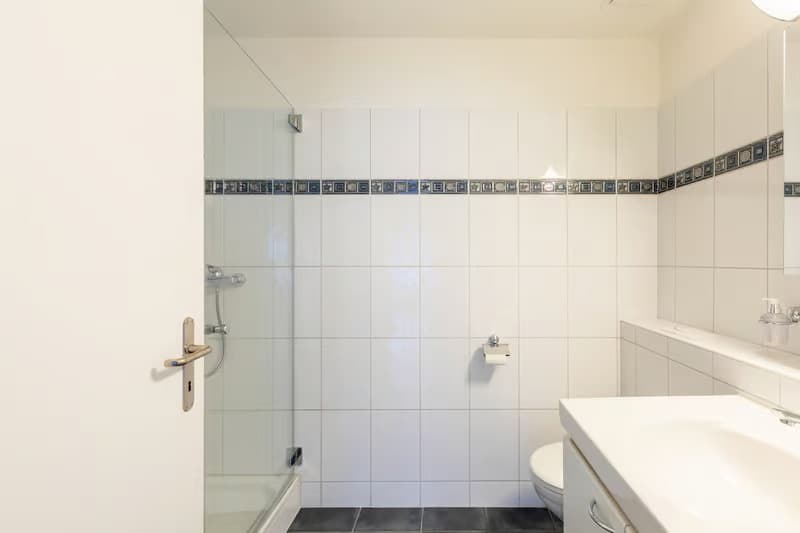 Moderne 4.5 Zimmer Attika-Maisonettewohnung (8)