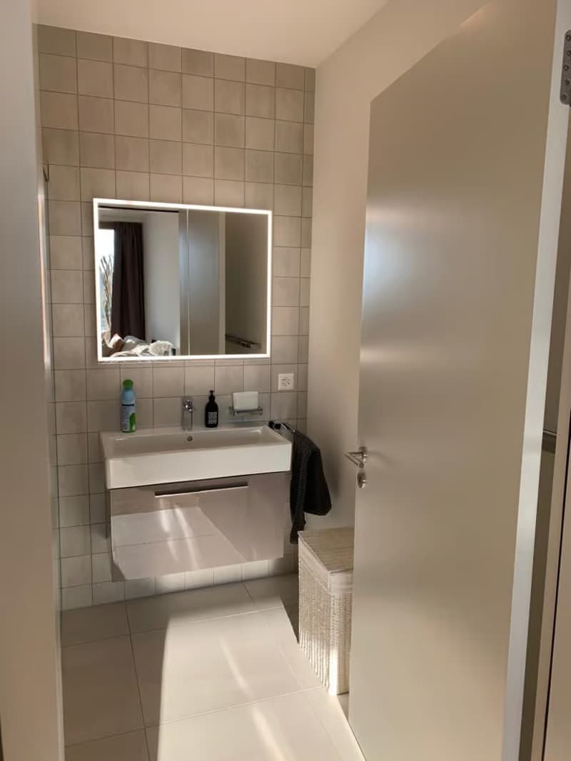 Moderne 3.5-Zimmer-Wohnung mit Balkon in Risch-Rotkreuz – ab sofort verfügbar! (3)