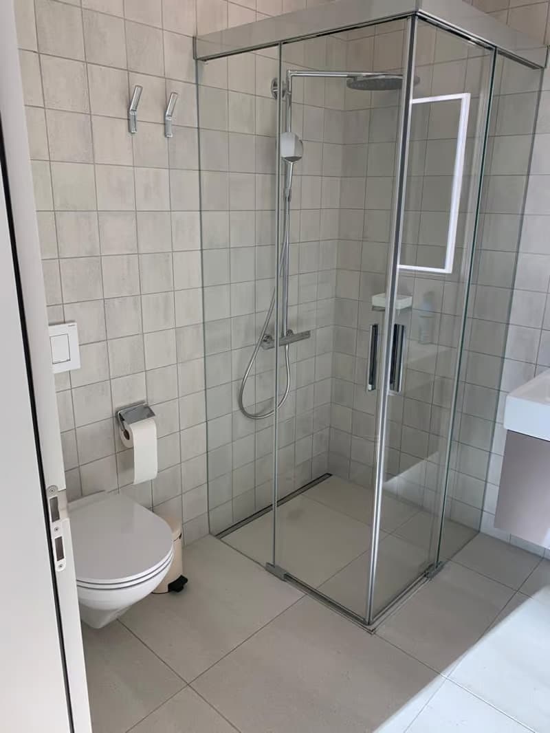 Moderne 3.5-Zimmer-Wohnung mit Balkon in Risch-Rotkreuz – ab sofort verfügbar! (4)