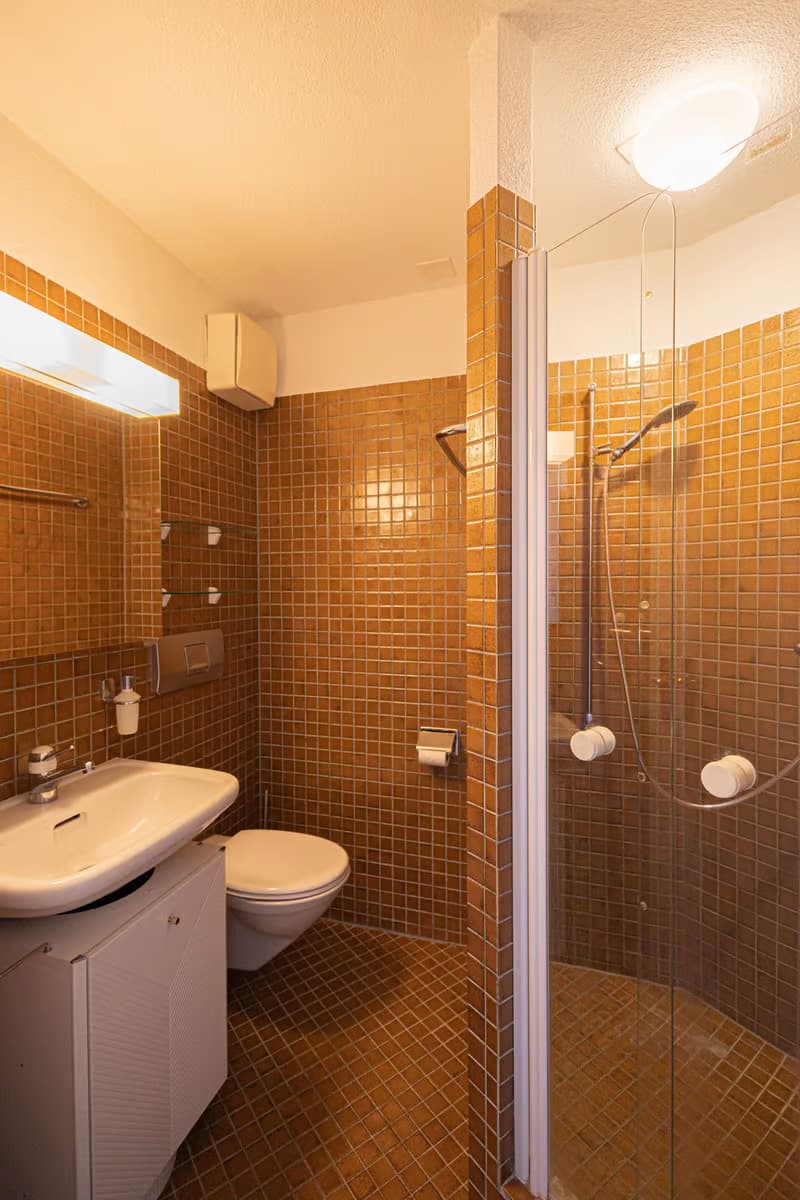 Attraktive 4.5-Zimmer Attikawohnung in Wallisellen (12)