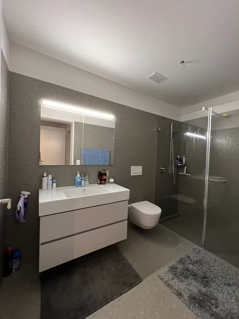 Helle 2.5-Zimmer-Wohnung mit Balkon und traumhafter Aussicht in Zürich-Manegg (14)