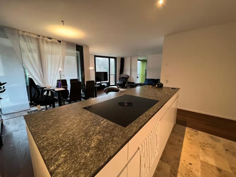 Helle 2.5-Zimmer-Wohnung mit Balkon und traumhafter Aussicht in Zürich-Manegg (3)