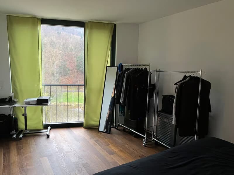 Helle 2.5-Zimmer-Wohnung mit Balkon und traumhafter Aussicht in Zürich-Manegg (13)