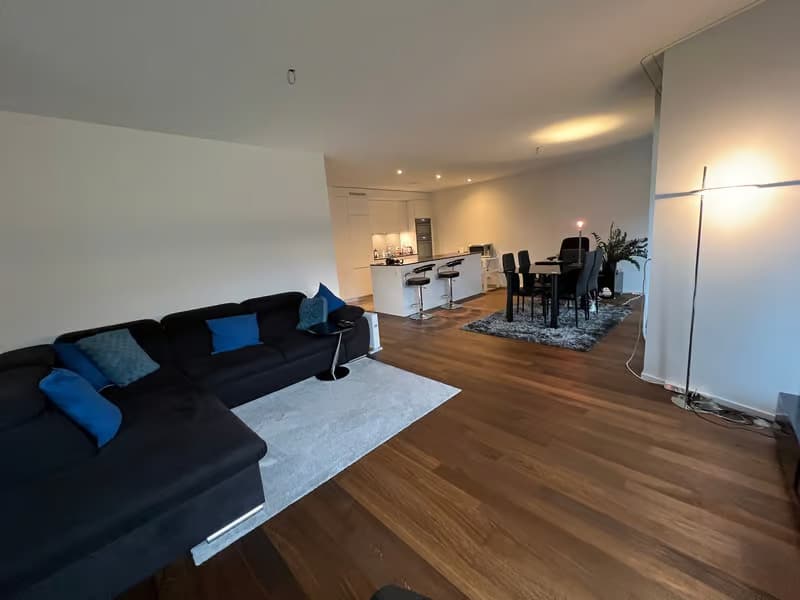 Helle 2.5-Zimmer-Wohnung mit Balkon und traumhafter Aussicht in Zürich-Manegg (11)