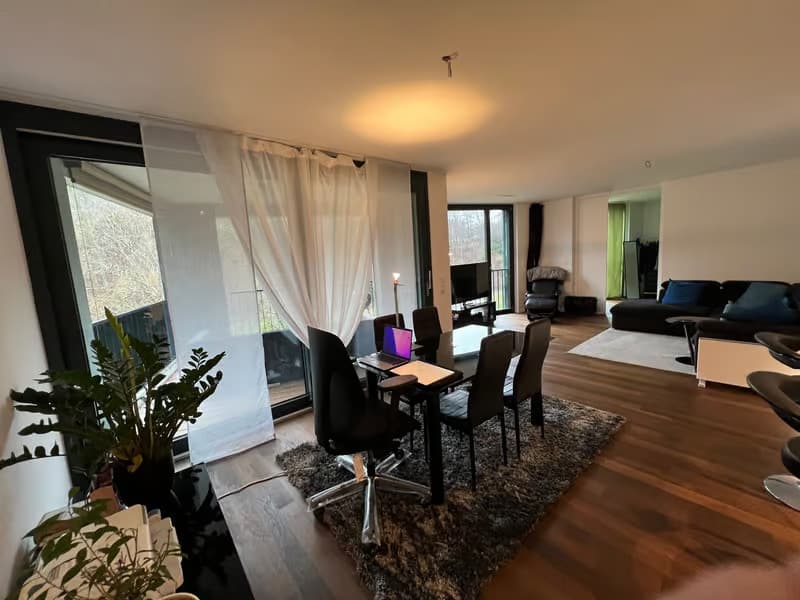 Helle 2.5-Zimmer-Wohnung mit Balkon und traumhafter Aussicht in Zürich-Manegg (12)