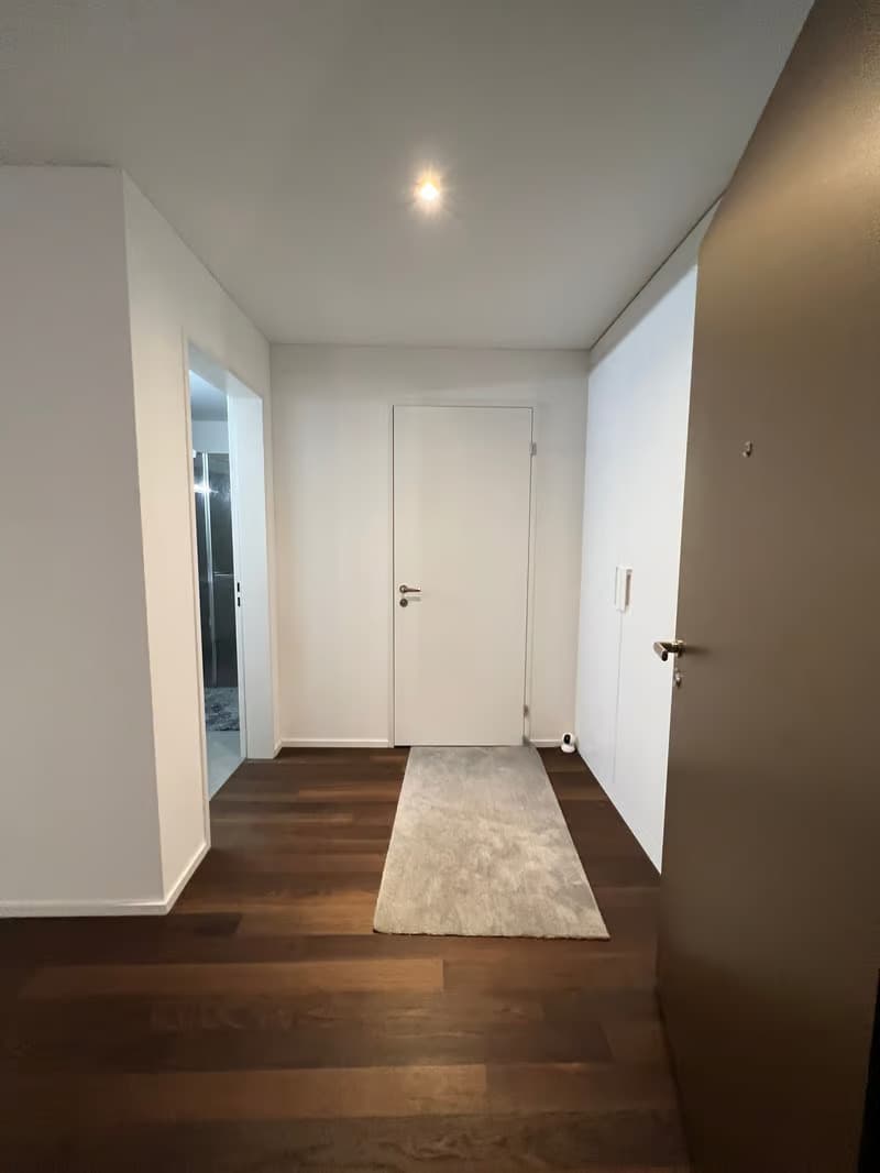 Helle 2.5-Zimmer-Wohnung mit Balkon und traumhafter Aussicht in Zürich-Manegg (1)