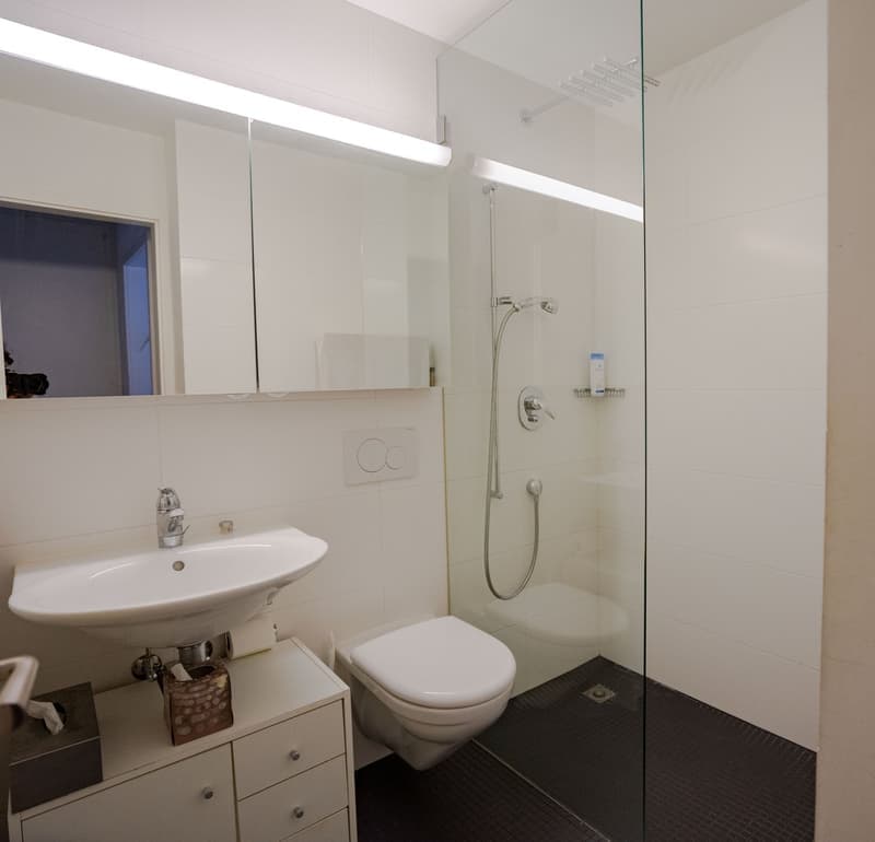 Gepflegte Wohnung an sehr ruhiger Lage (7)