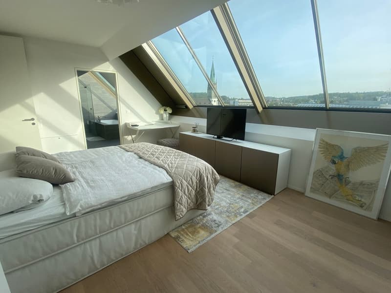 Helle 2.5-Zimmer-Wohnung mit Balkon und Stadtblick in Winterthur (8)