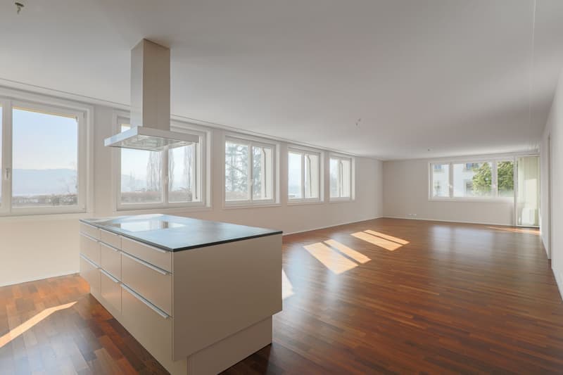 Grosszügige 4.5-Zimmer-Wohnung mit Balkon und herrlichem Ausblick in Luzern (2)