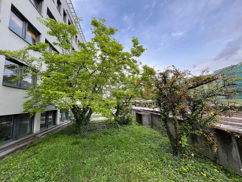 Multi-story building with large windows, surrounded by lush greenery including trees and grass. There appears to be a balcony or terrace visible on the building.