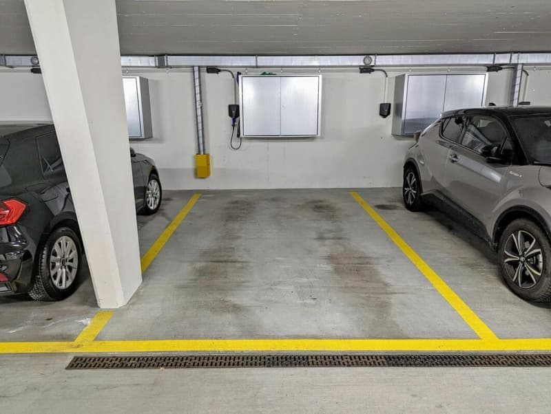 Einzigartige Stadtwohnung in ruhigem Quartier mit optimaler Bahnverbindung nach Zürich HB (13)