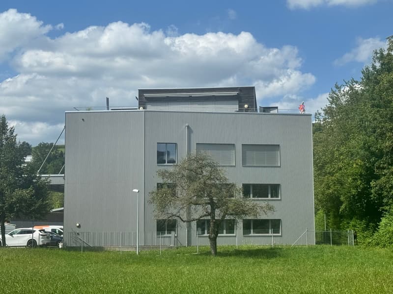 Wohnen & Arbeiten über den Dächern von Baar (2)