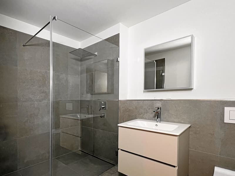 Helle 4.5-Zimmer-Wohnung mit Balkon und Garage in Binningen (8)