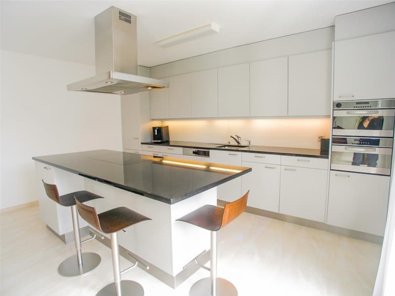 Moderne 3.5-Zimmerwohnung (4)