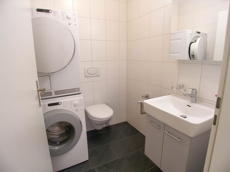 Moderne 3.5-Zimmerwohnung (9)