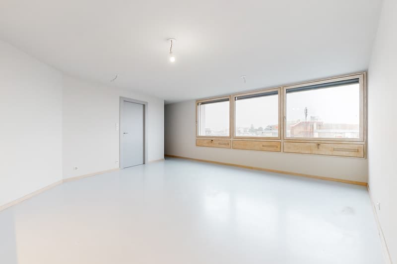 Appartement lumineux de 4.5 pièces à Nyon, disponible immédiatement (6)