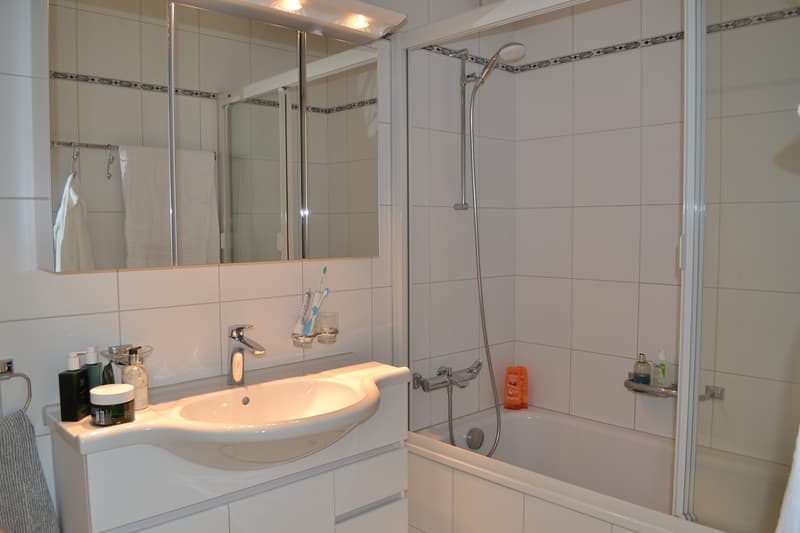 Charmante 2.5-Zimmer-Wohnung mit Balkon und Waldblick in Küsnacht (8)