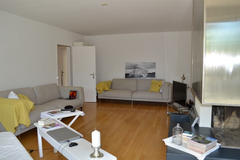 Charmante 2.5-Zimmer-Wohnung mit Balkon und Waldblick in Küsnacht (13)