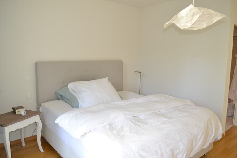 Charmante 2.5-Zimmer-Wohnung mit Balkon und Waldblick in Küsnacht (4)