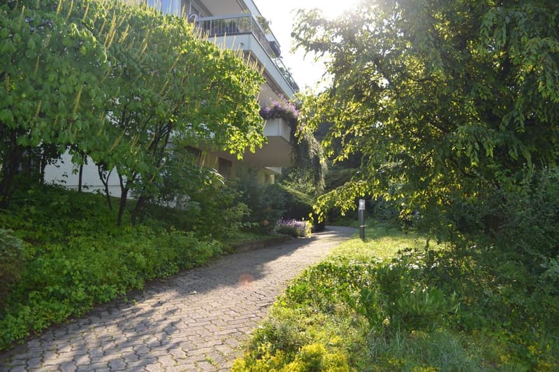 Charmante 2.5-Zimmer-Wohnung mit Balkon und Waldblick in Küsnacht (10)