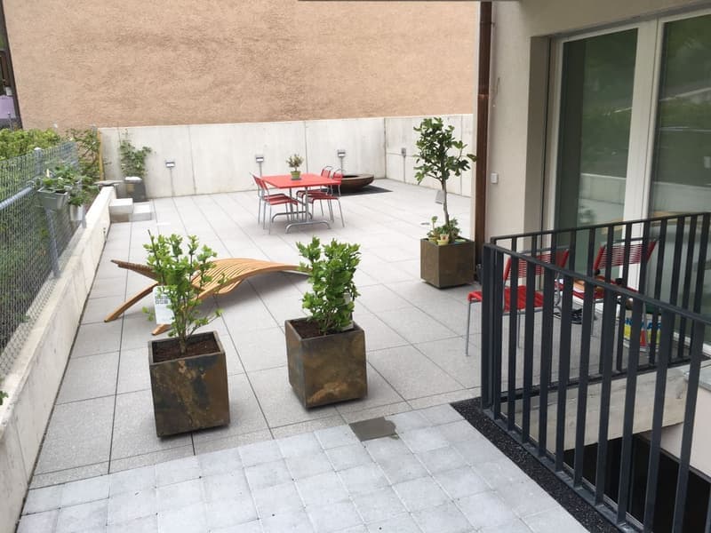 Grosszügige, helle 4.5-Zimmer Terrassenwohnung mit Garten und Einstellhallenplatz (7)
